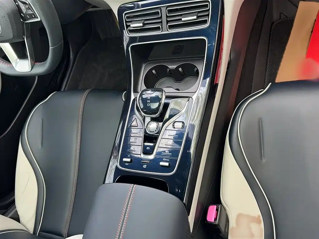 BYD Qin PLUS 2021 DM-i 55KM Flagship фото 7
