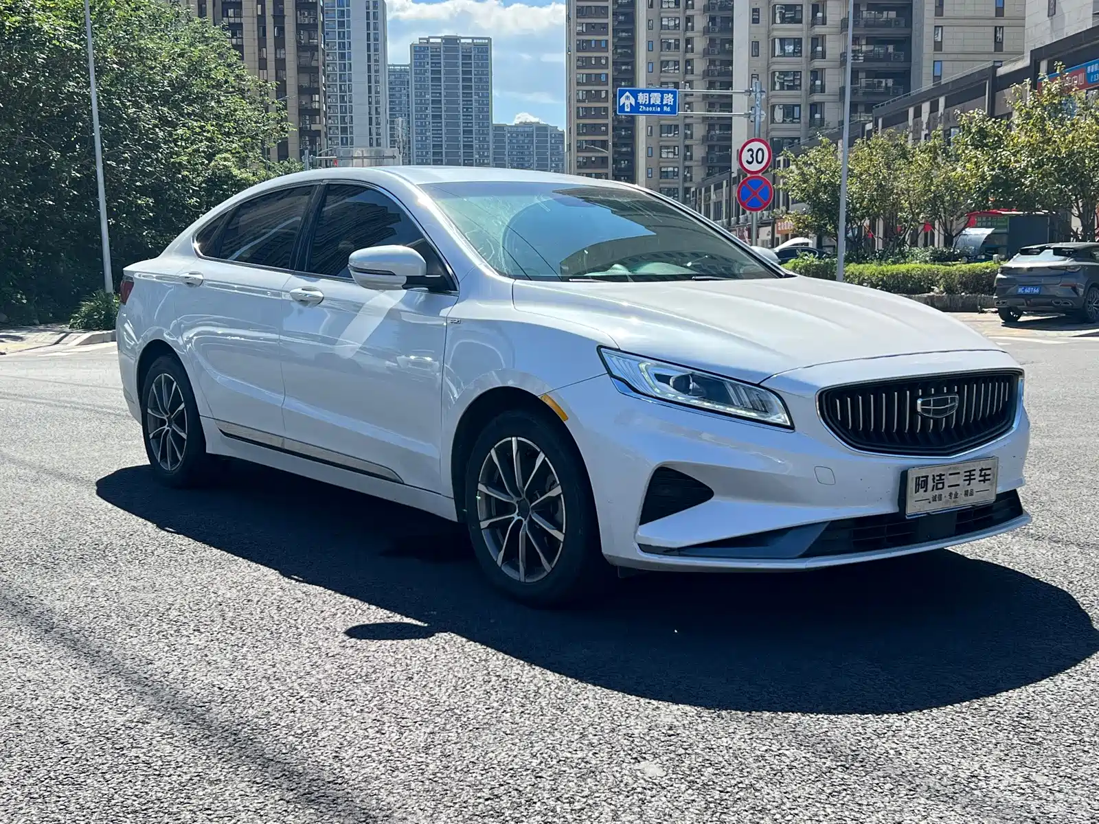 Фото 3 - Geely Borui