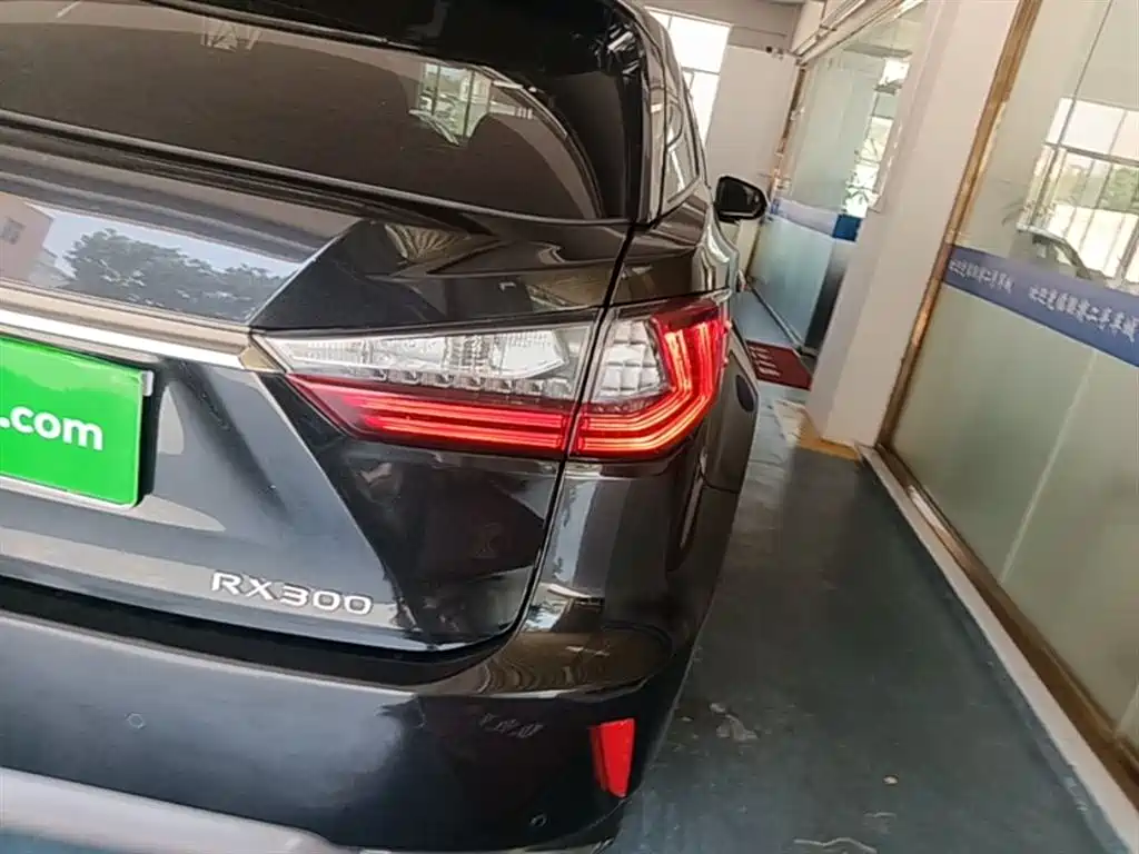 Lexus RX 2016 300 4WD Elegance Edition (China V) фото 24