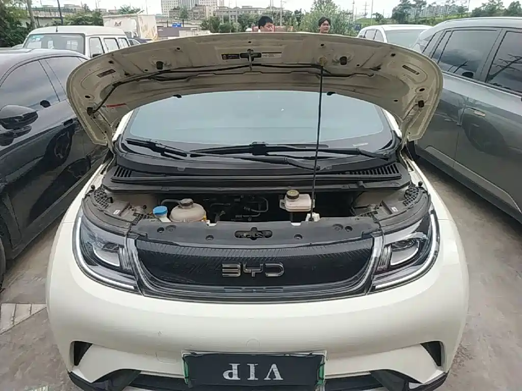 Photo 20 - BYD Dolphin