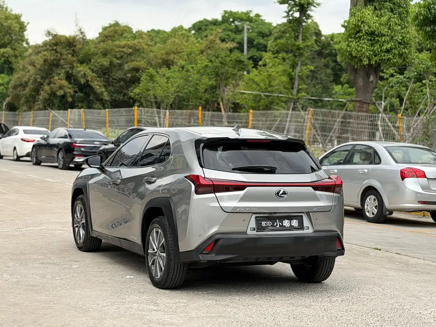 Lexus UX Electric 2020 300e Pure Yue Edition фото 9