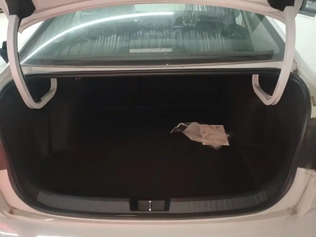 Photo 19 - Volkswagen Sagitar