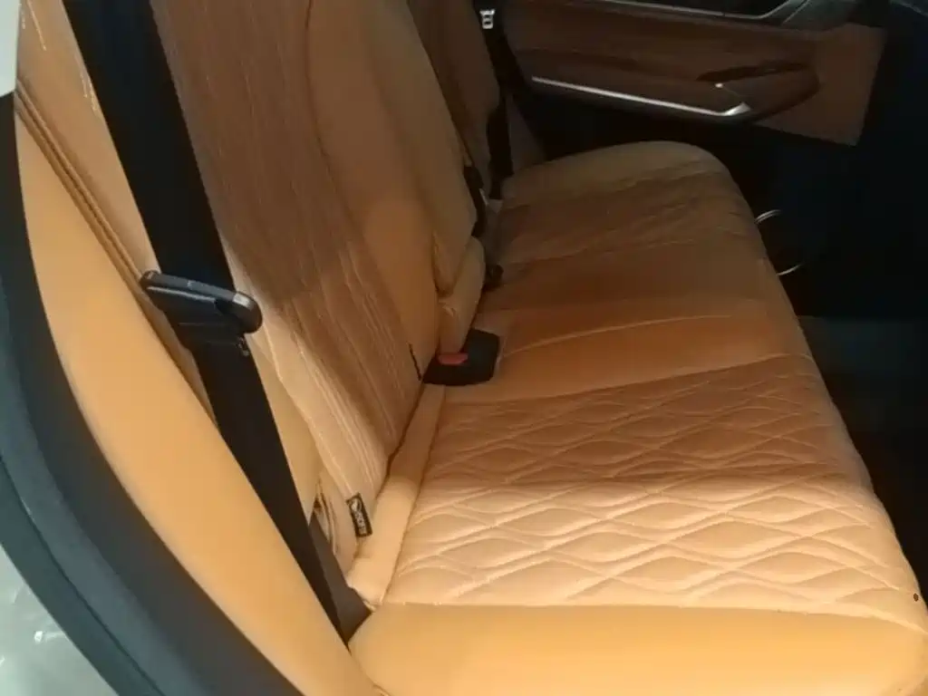 Tank 500 2023 2023 3.0T Business Edition (5-seater)