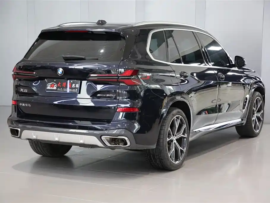 BMW X5 2023 xDrive 30Li Premium M Sport Package фото 3