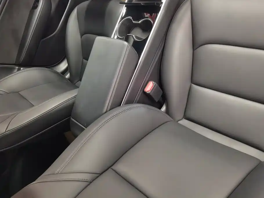 Tesla Model 3 (Import) 2019 2019 Long Range All-Wheel Drive Edition