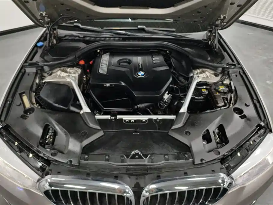 BMW 5 Series 2018 Facelift 530Li xDrive Luxury Package фото 10