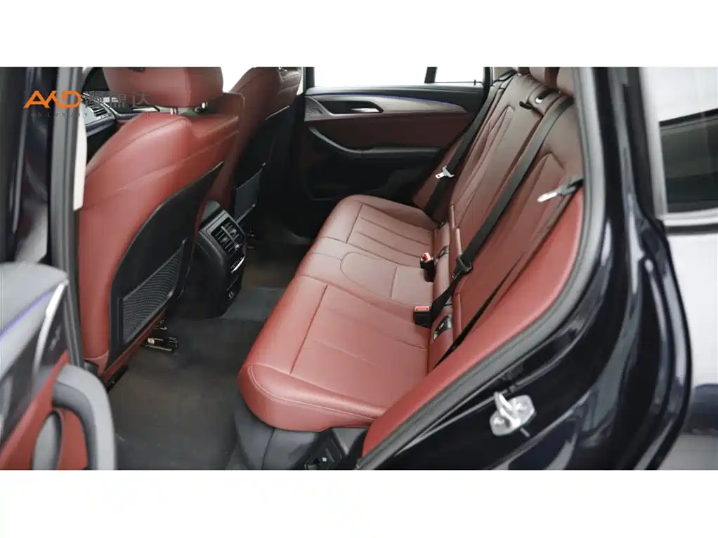 BMW X4 2023 2022 xDrive 25i M Sport Package