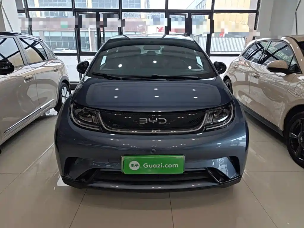 BYD Dolphin 2026 2025 420km Freedom Edition