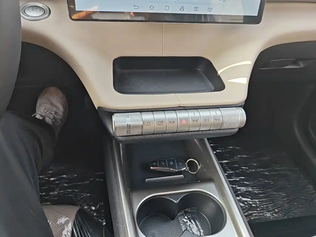 BYD Dolphin 2026 2025 420km Freedom Edition