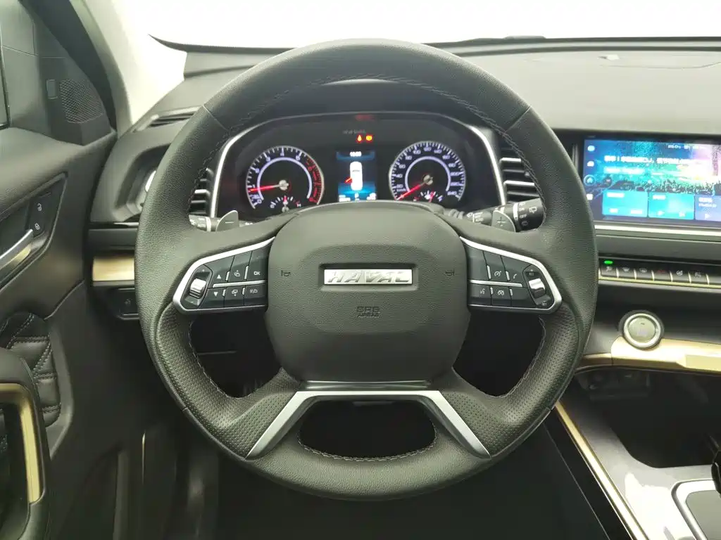 Фото 11 - Haval H6