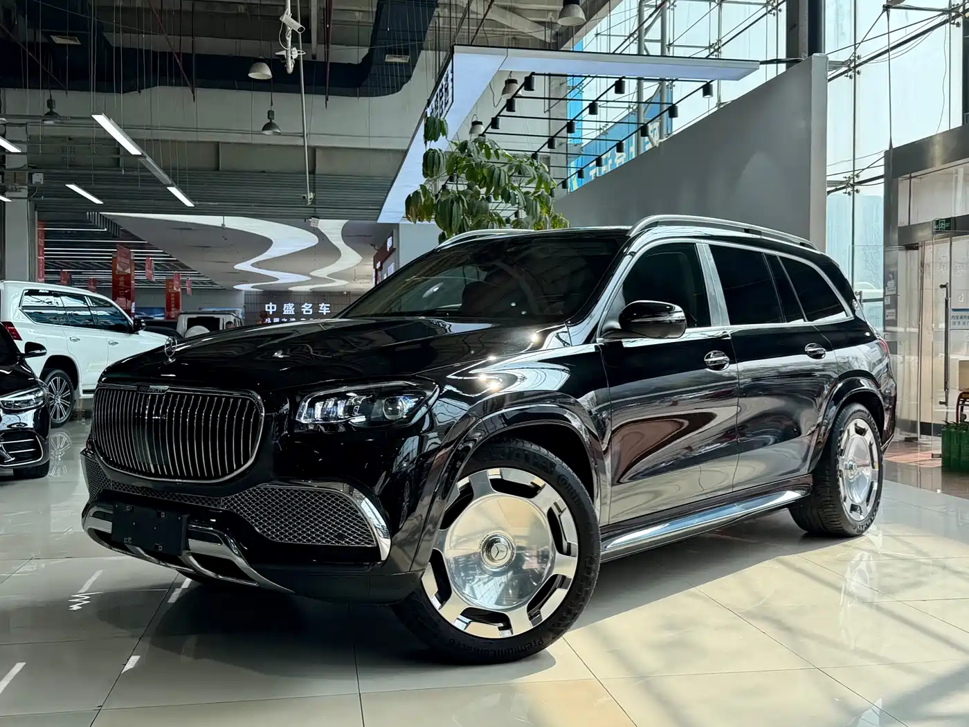 Mercedes-Benz Maybach GLS 2024 GLS 480 4MATIC фото 3