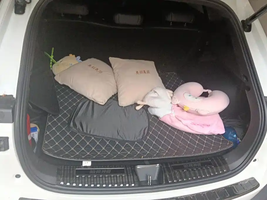 Haval Shenshou 2021 2022 1.5T Smart Enjoyment Edition