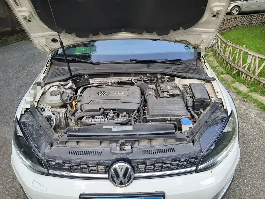 Volkswagen Golf (Import) 2019 2019 1.8TSI Wagon