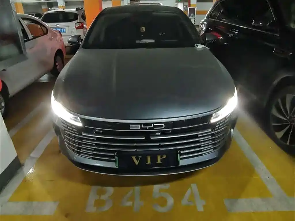 BYD Destroyer 05 2024 Glory Edition DM-i 55KM Luxury фото 2