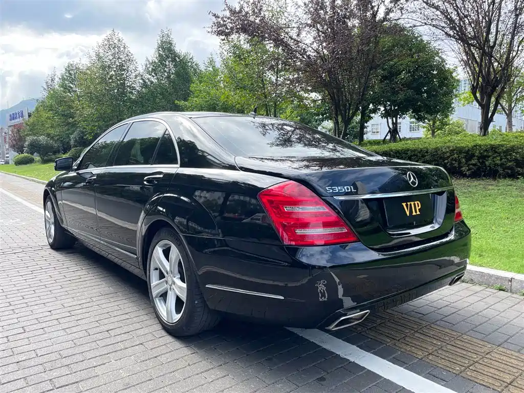 Mercedes-Benz S-Class 2010 S 300 L Luxury фото 14
