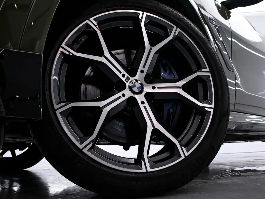 صورة 18 - BMW X6