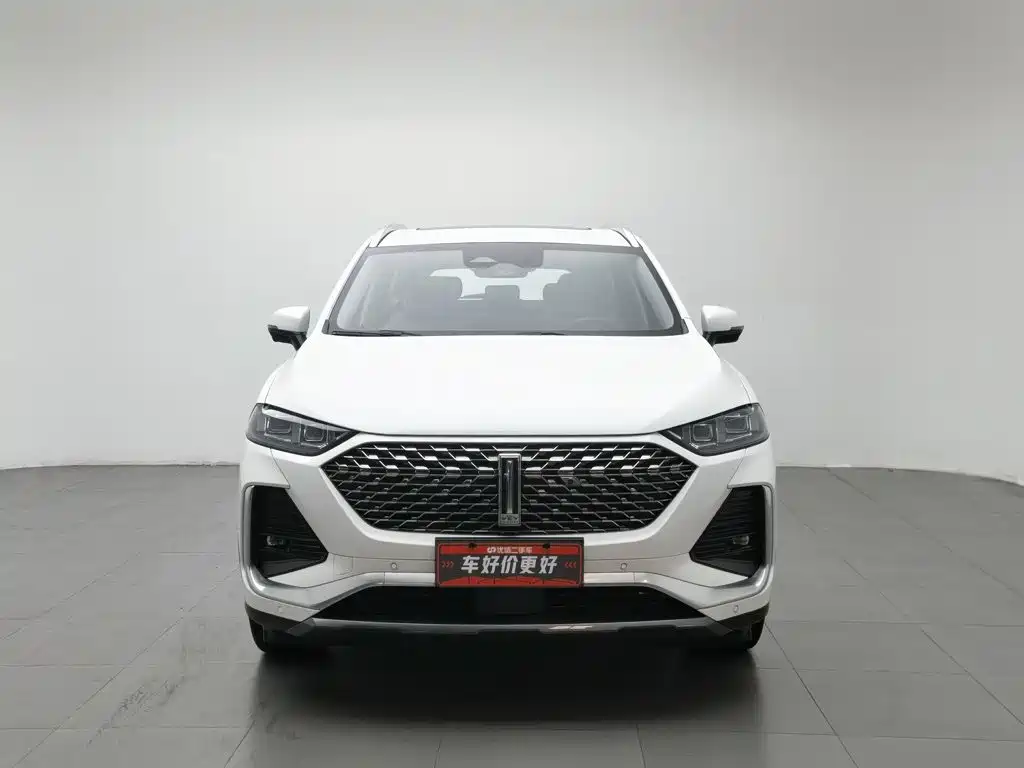 WEY Latte DHT 2022 2022 1.5T DHT Large