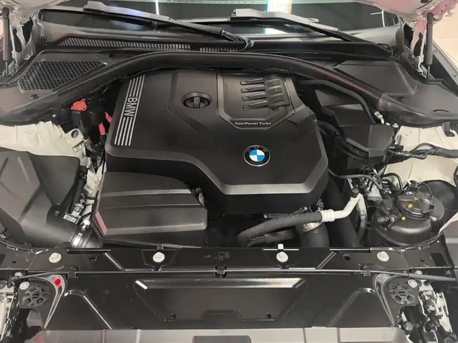 BMW 3 Series 2021 Second Facelift 320Li M Sport Package фото 10