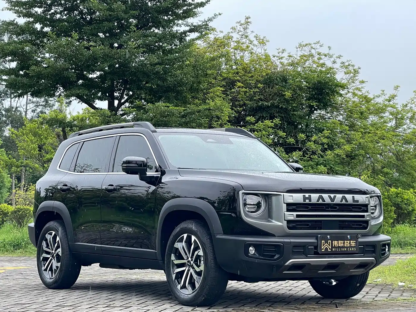 Haval Dargo 2024 2024 1.5T DCT Border Collie Edition
