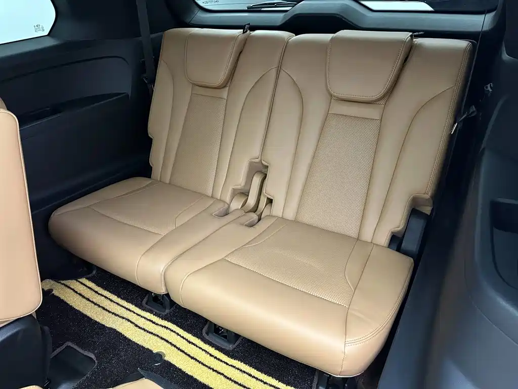 Фото 19 - GAC Trumpchi Trumpchi ES9