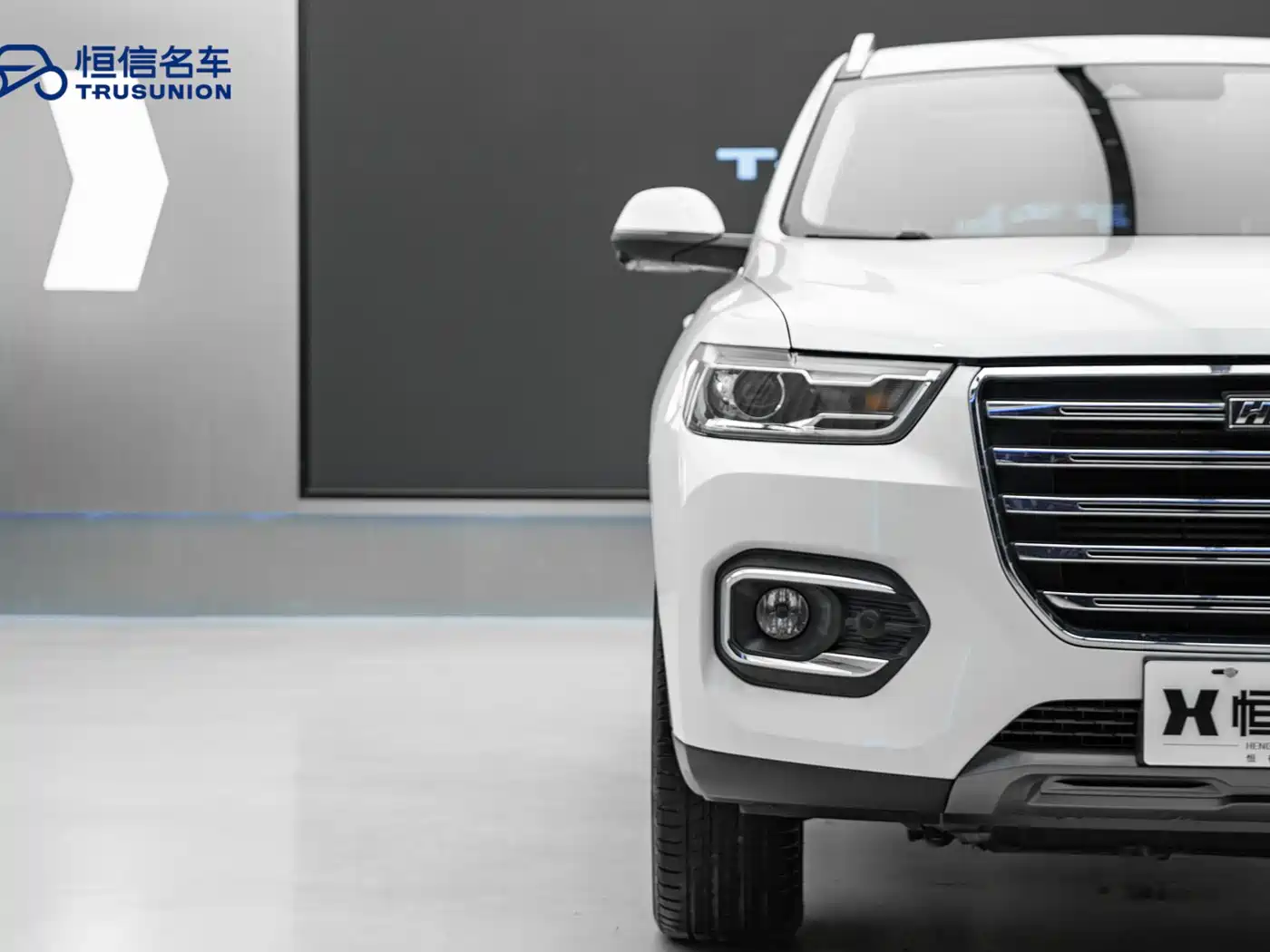 Haval H6 2020 1.5GDIT Automatic Platinum Luxury Edition фото 9