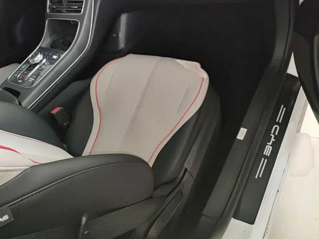 BYD Destroyer 05 2023 Champion Edition DM-i 55KM Luxury фото 25
