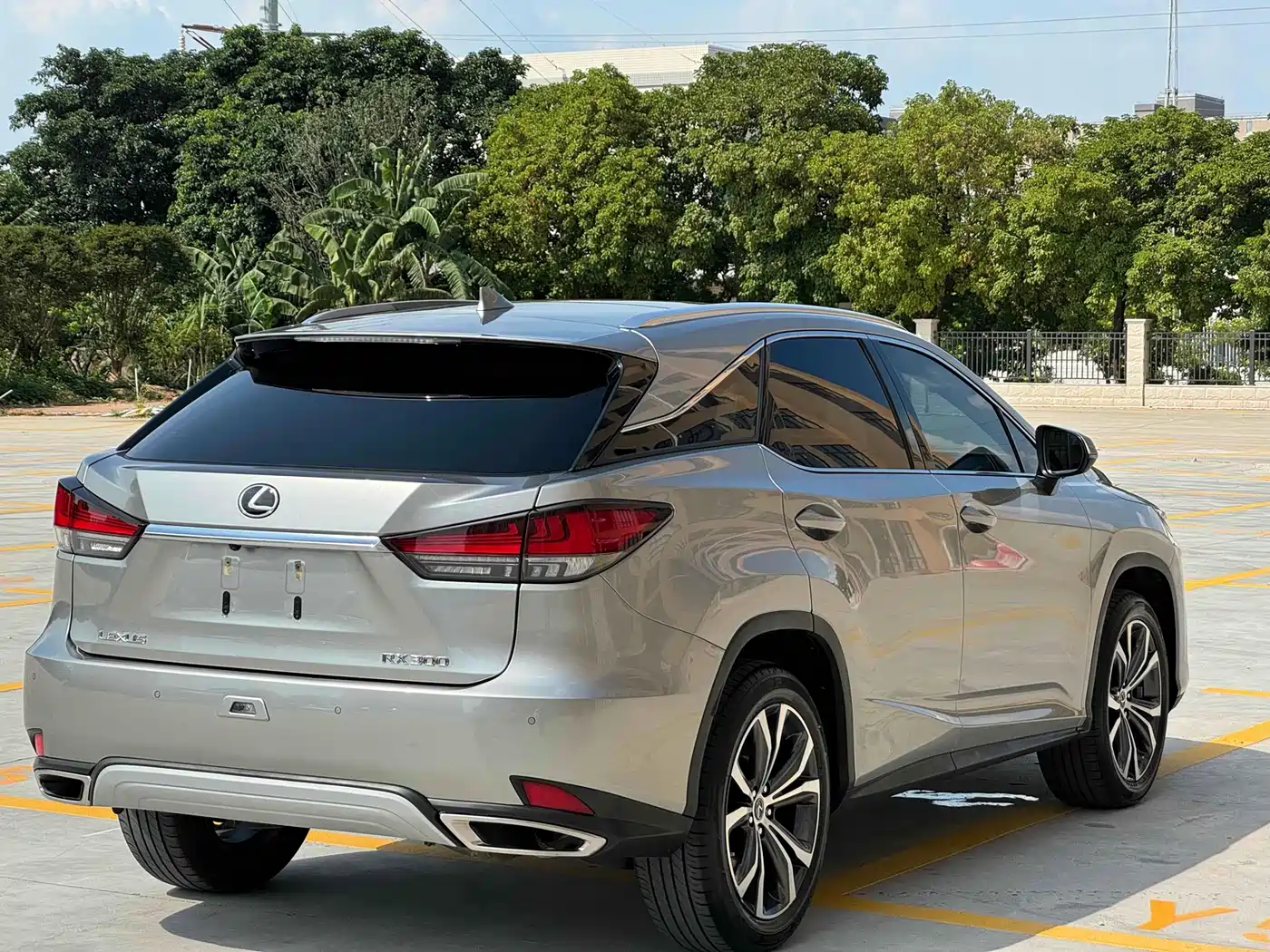 Lexus RX 2020 Facelift 300 AWD Elegance Edition фото 8