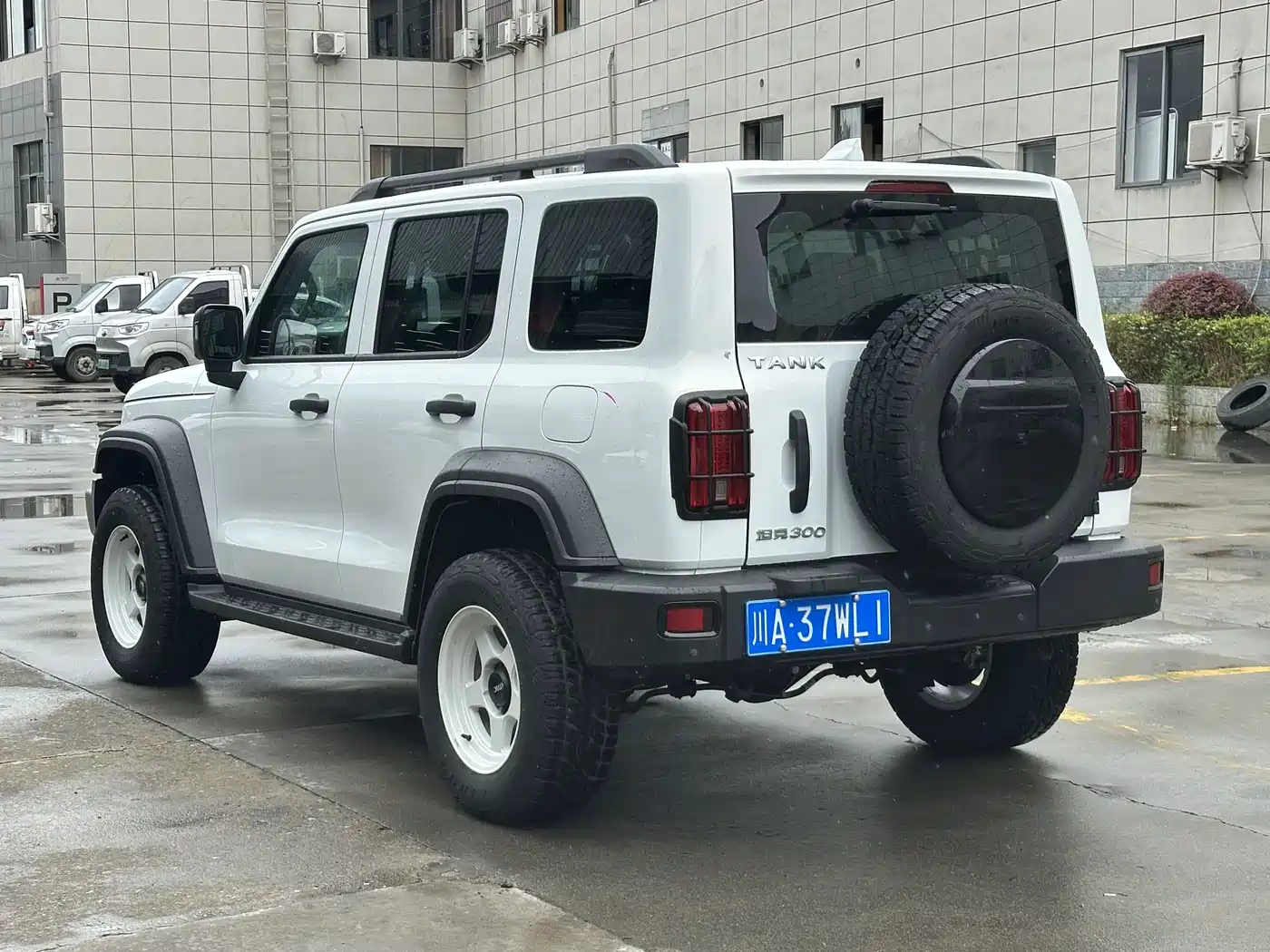 Tank 300 2021 Off-road Version 2.0T Conqueror фото 15
