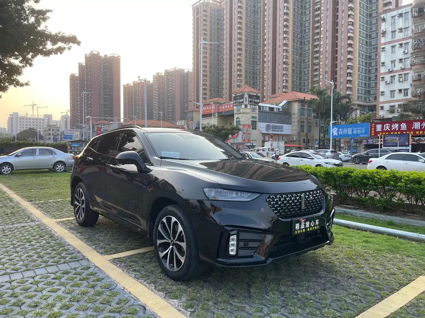 WEY VV7 2020 2020 2.0T Super Luxury
