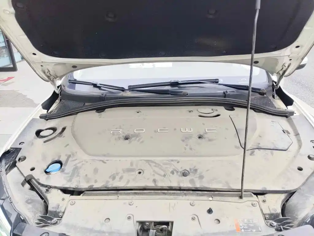 Roewe Ei5 2019 2019 Model Luxury Edition