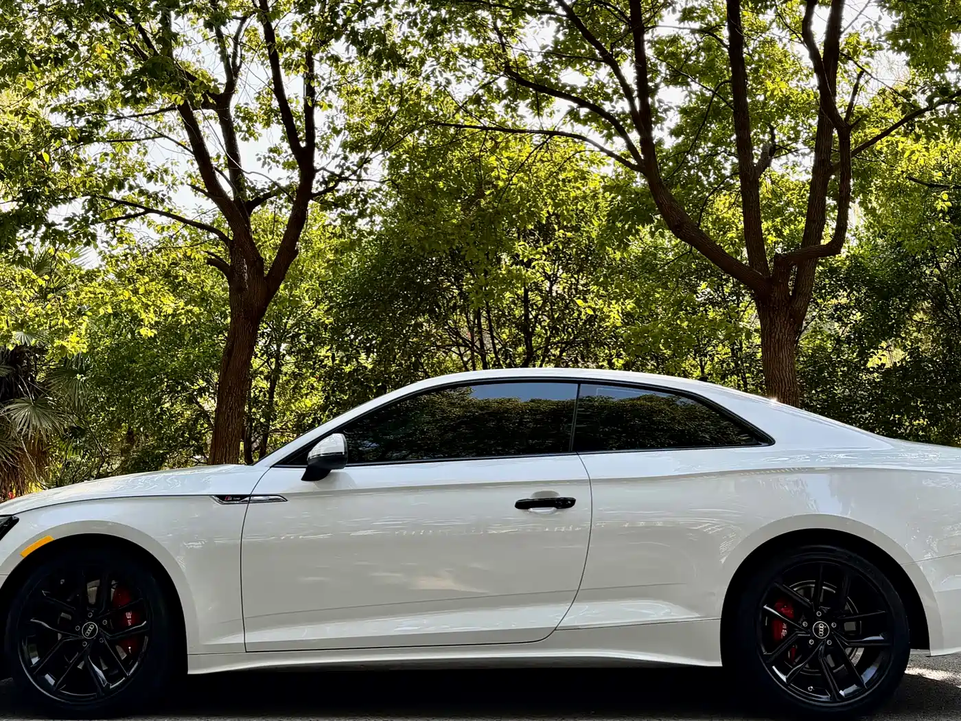 AUDI A5 (IMPORT)