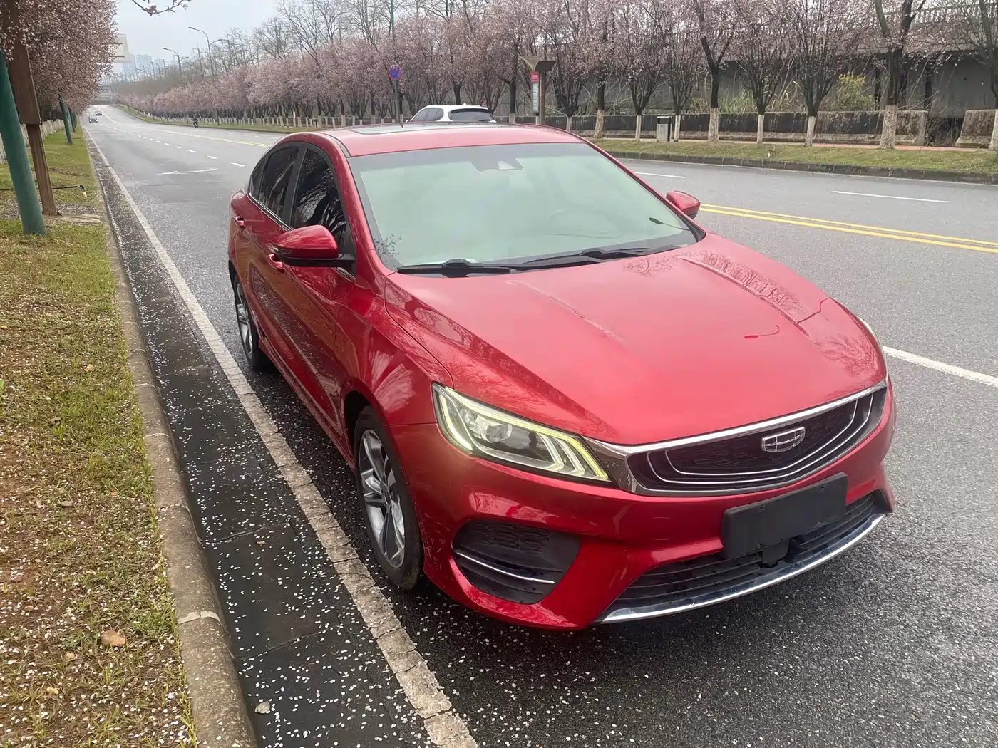 Фото 3 - Geely Binrui