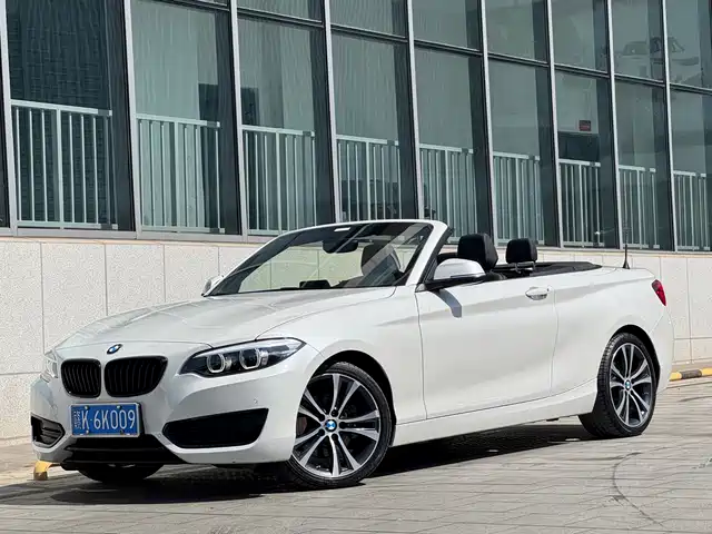 BMW 2 SERIES