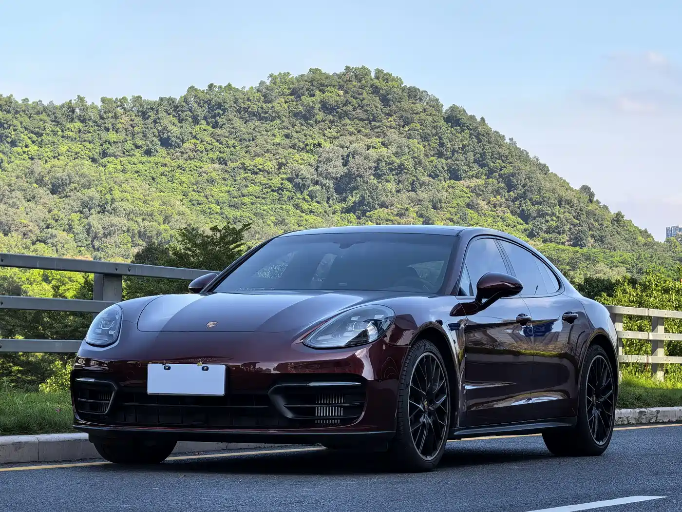 Porsche Panamera 2022 Panamera 2.9T