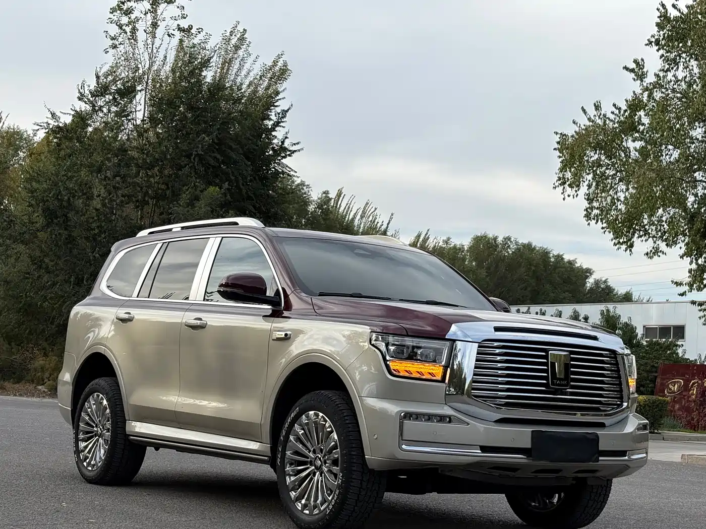 Tank 500 2023 2023 3.0T Special Custom Edition (5-seater)