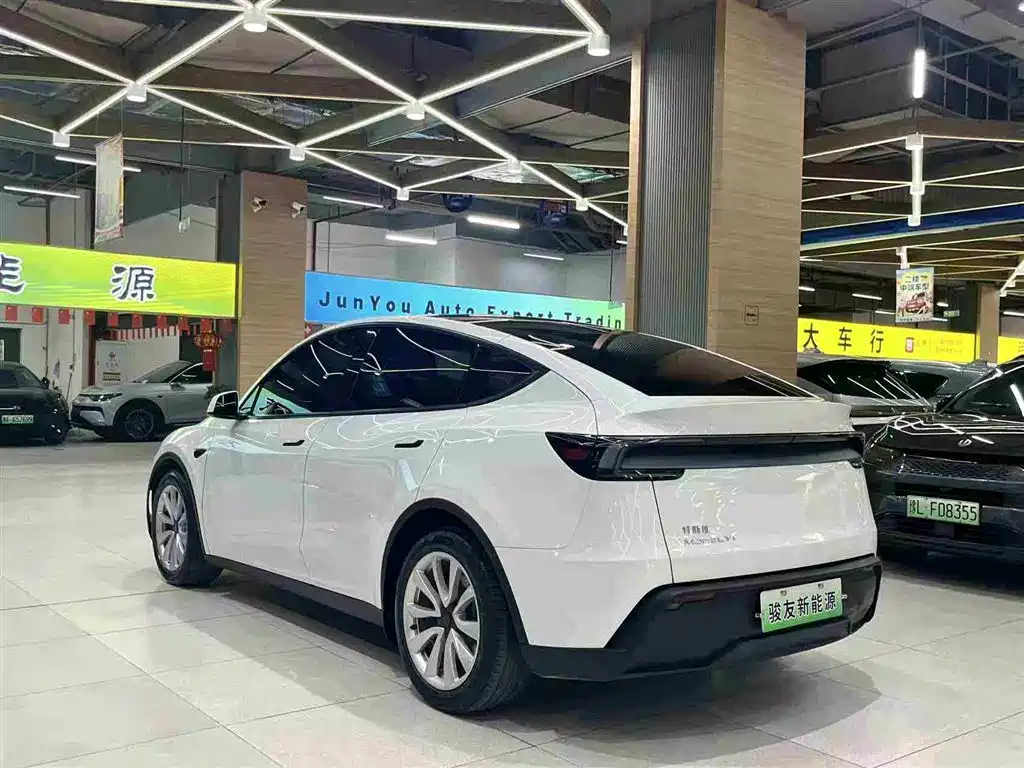Tesla Model Y 2025 Long Range All-Wheel Drive фото 4
