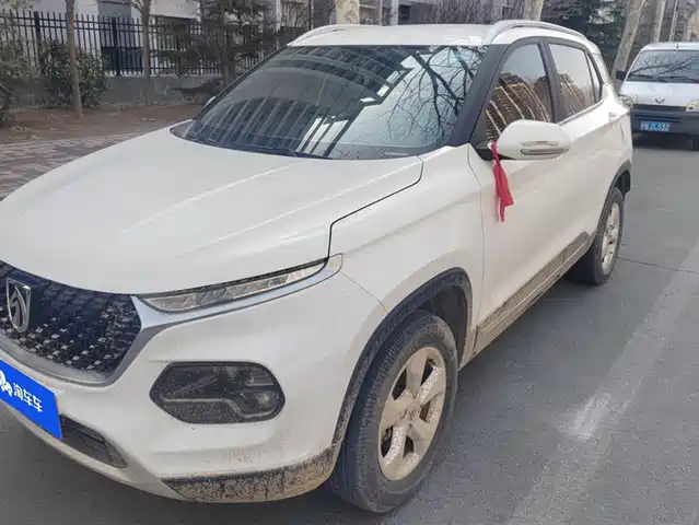 BAOJUN 510