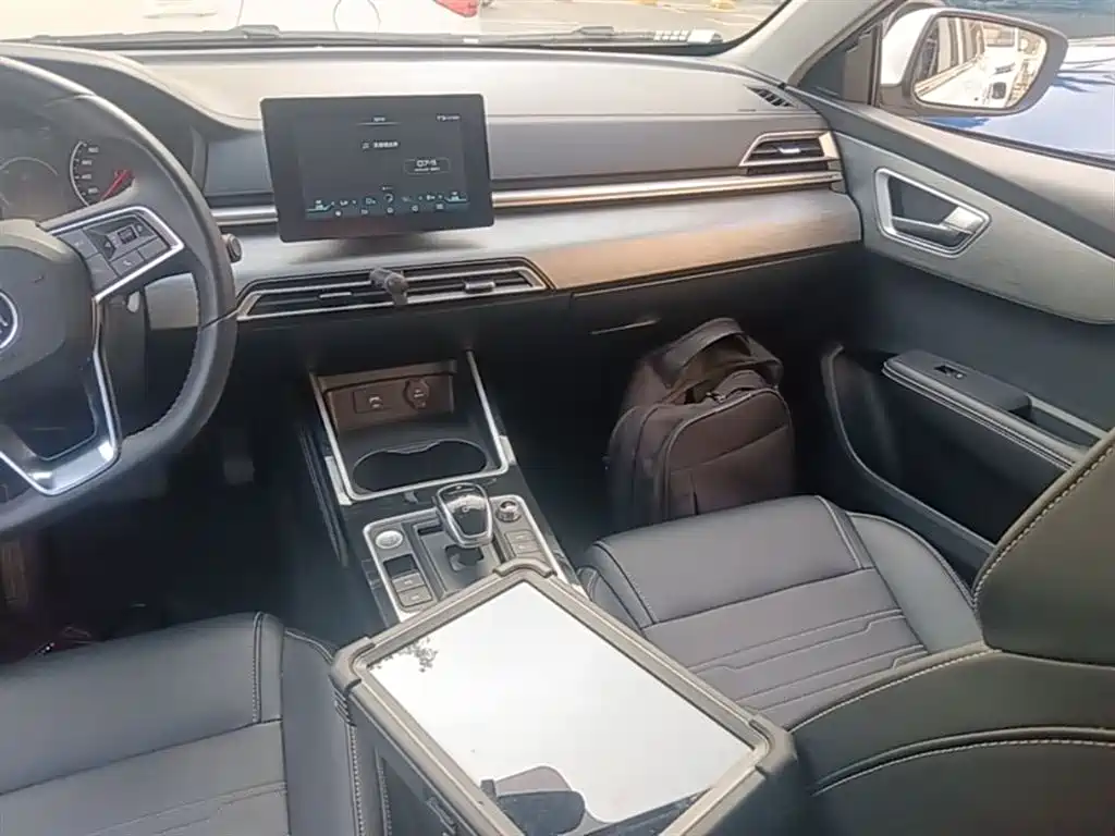 BYD Qin New Energy 2019 Long Range Luxury Edition фото 13