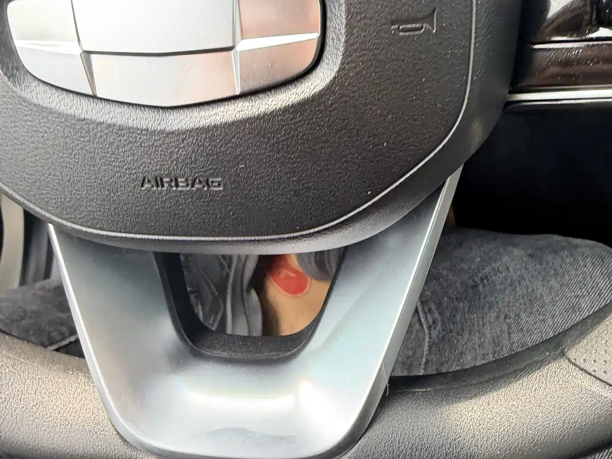 GEELY GEOMETRY E FIREFLY