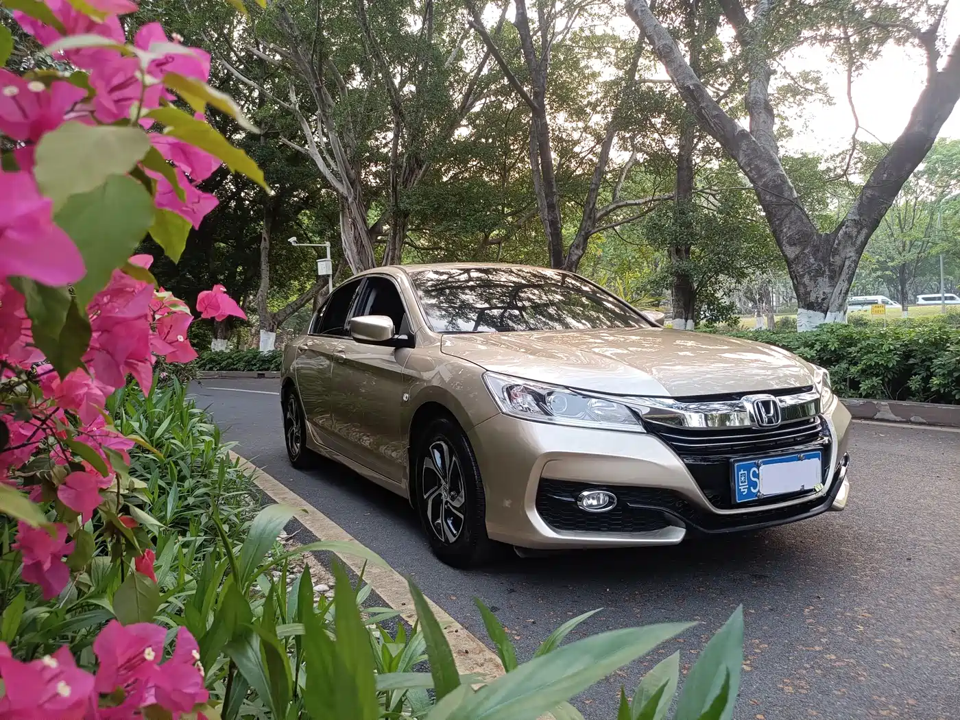 Фото 7 - Honda Accord