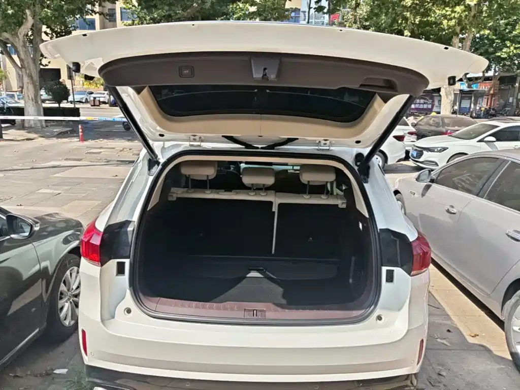 WEY VV6 2021 2021 2.0T 2WD Smart Enjoyment+