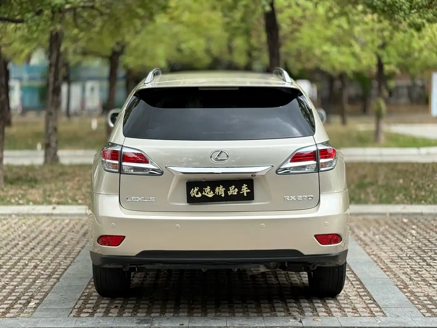 Lexus RX Classic 2012 270 Elegance фото 19