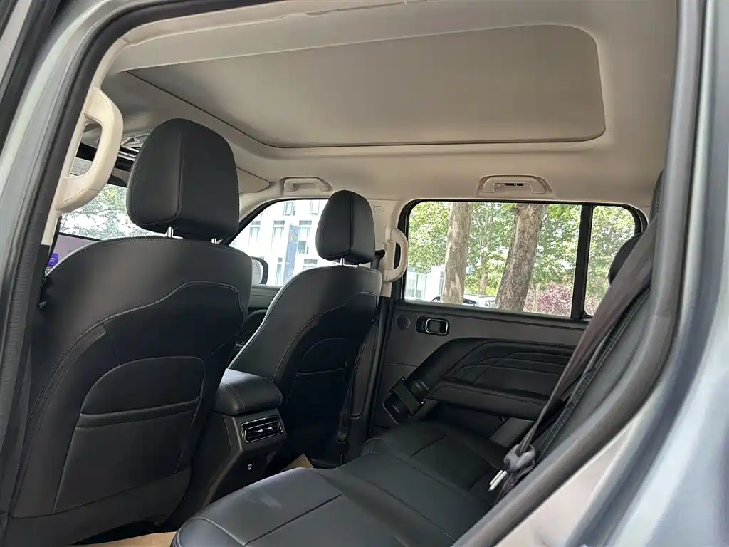 Haval Meng Long NEV 2024 Hi4 102 Pro фото 14