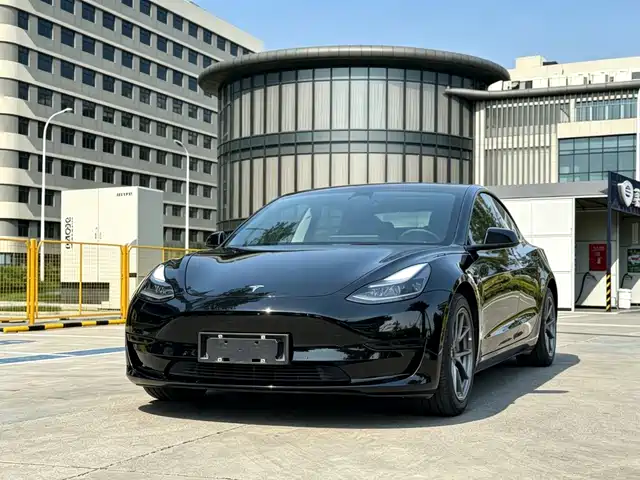 TESLA MODEL 3 2021