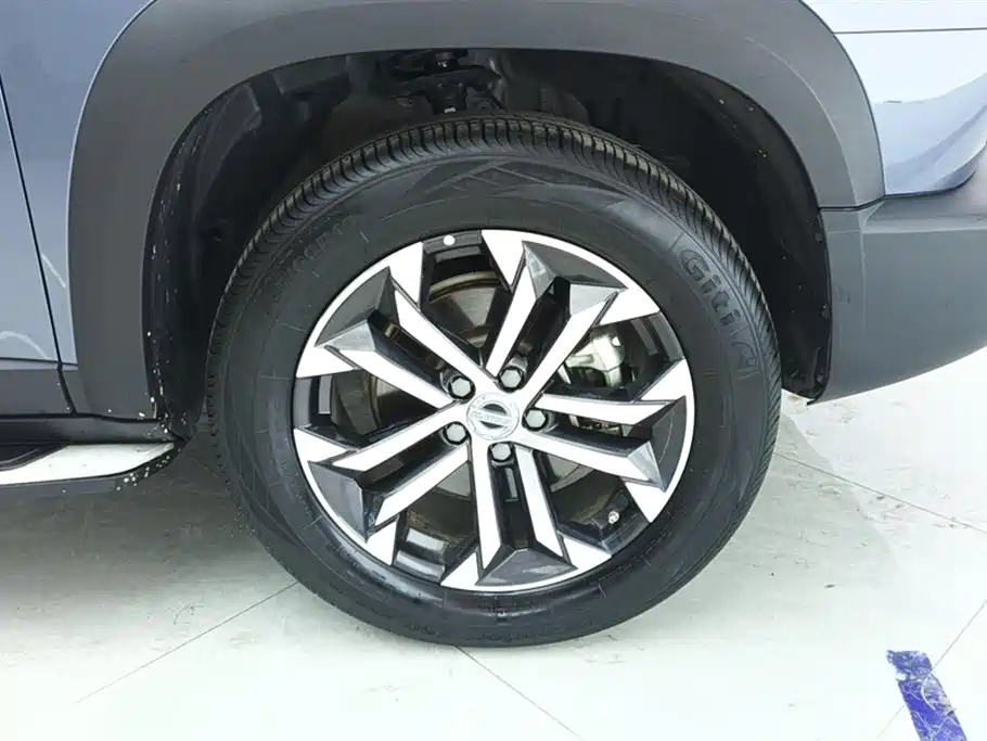 Haval Big Dog 2022 1.5T DCT FWD Border Collie Edition фото 6
