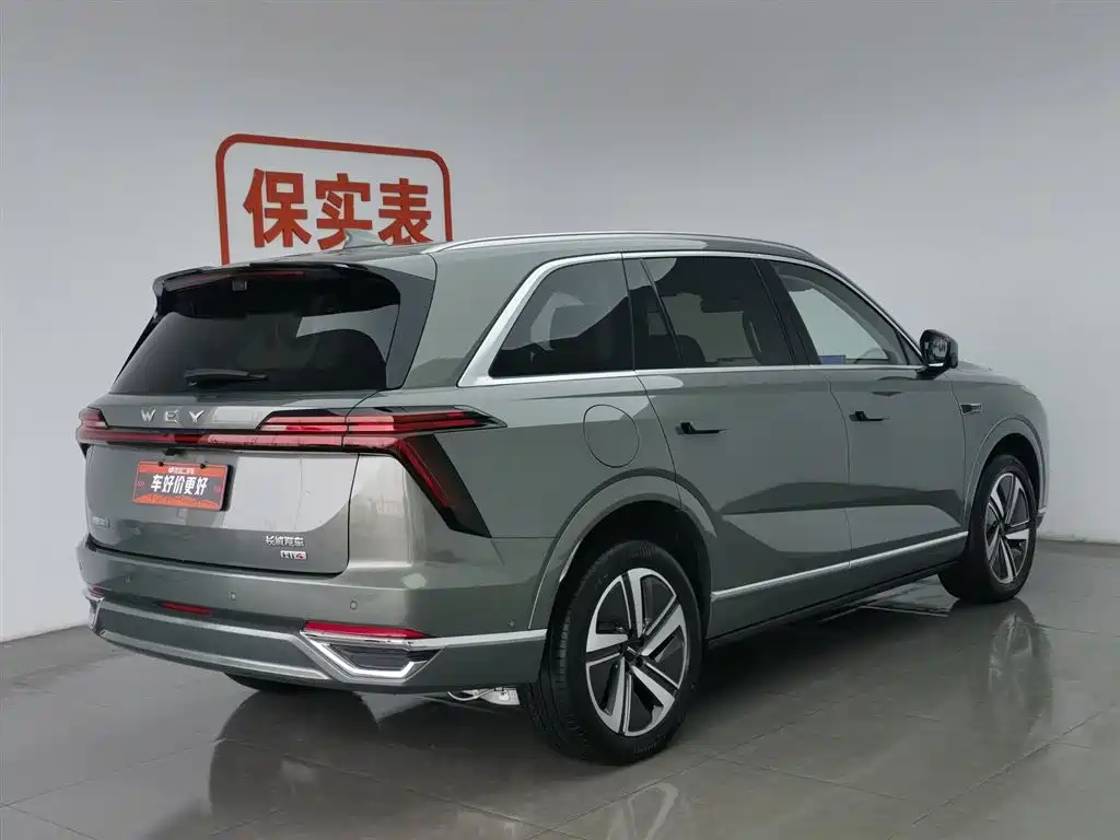 WEI PAI WEI BRAND BLUE MOUNTAIN