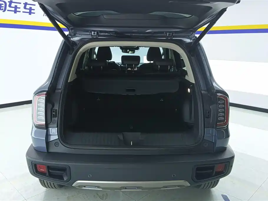 Haval Big Dog 2022 1.5T DCT FWD Border Collie Edition фото 4