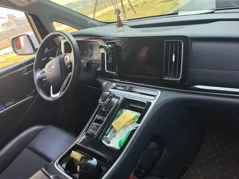 GAC Trumpchi Trumpchi M8 2021 Leading Show Series 390T Luxury Edition фото 12