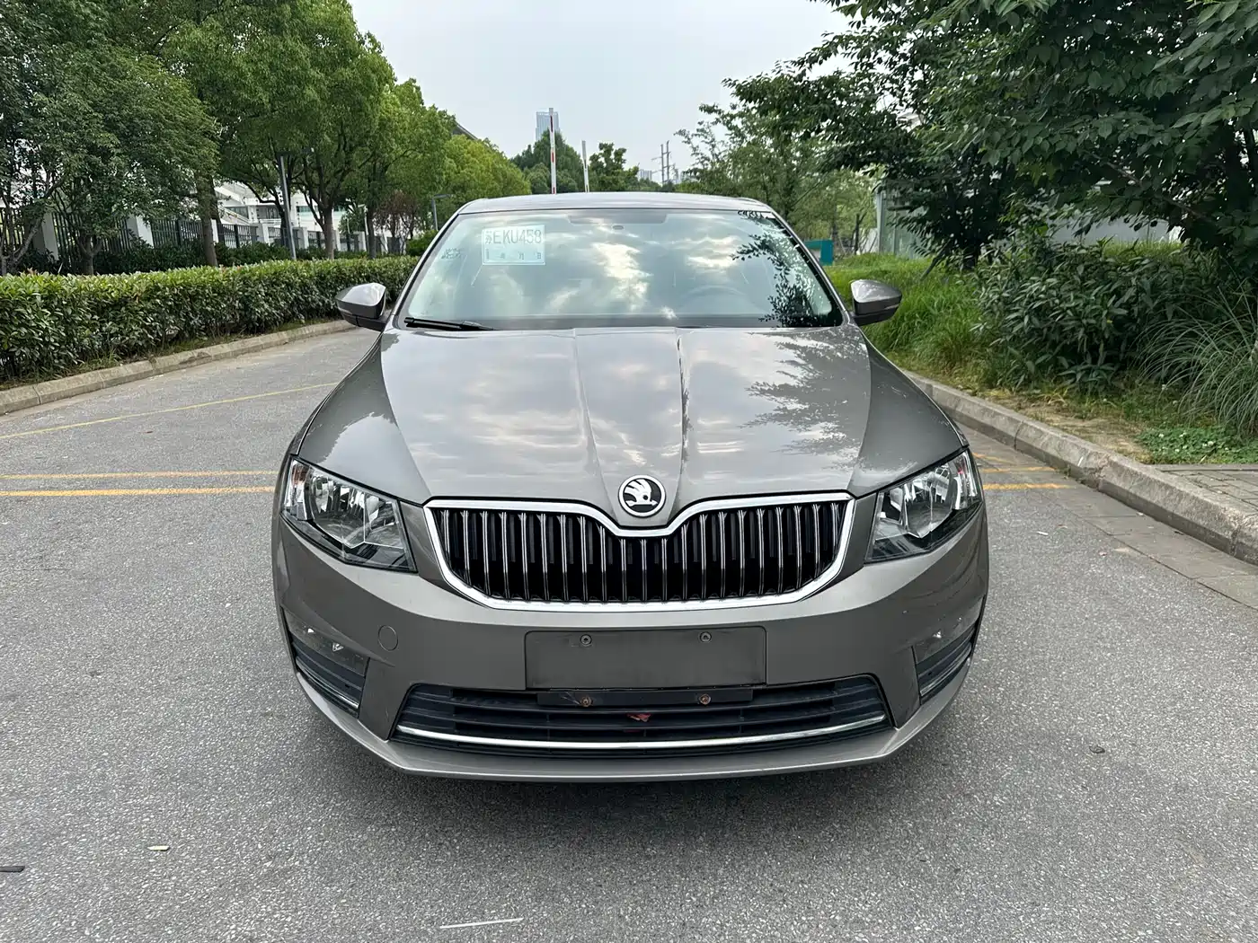 Škoda Octavia 2017 1.6L Automatic Pioneer Edition фото 2