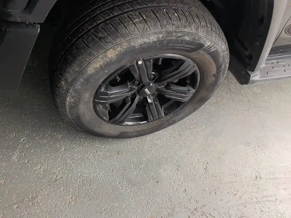 Tank 300 2021 2021 Off-road Edition 2.0T Challenger